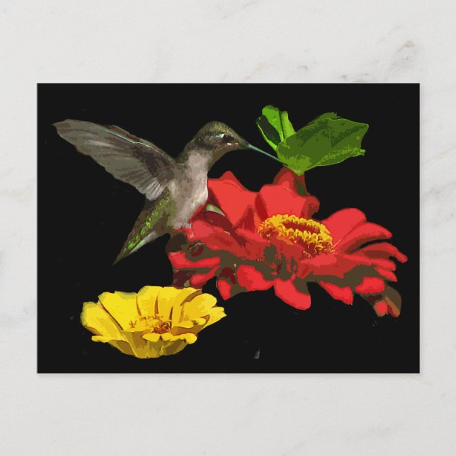 Hummingbird on Zinnias Postcard (Front)