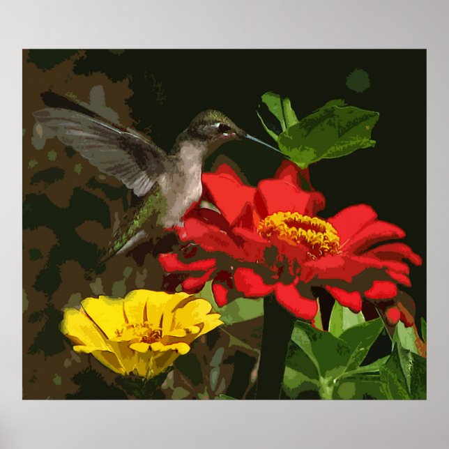 Hummingbird on Zinnias Poster (Front)