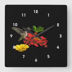 Hummingbird on Zinnias Square Wall Clock