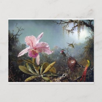 Hummingbird Orchid Flower Tropical Forest Painting Postcard by EDDESIGNS at Zazzle