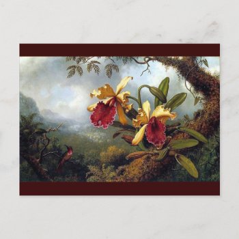 Hummingbird Orchids Painting Postcard by EDDESIGNS at Zazzle