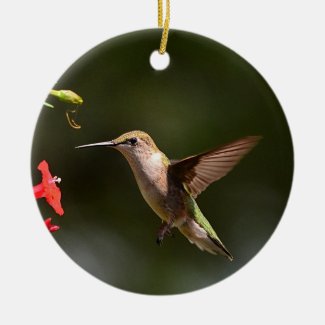 Hummingbird Christmas ornament