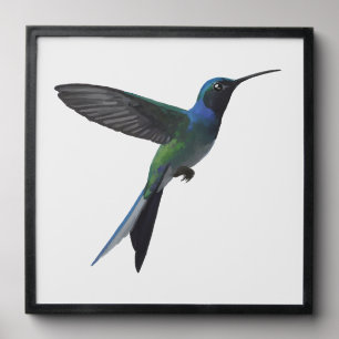 Hummingbird Peel And Stick Photo Tile
