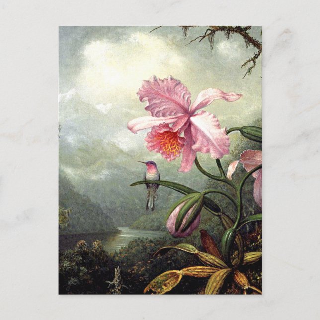 Hummingbird Perched, fine art, Postcard (Front)