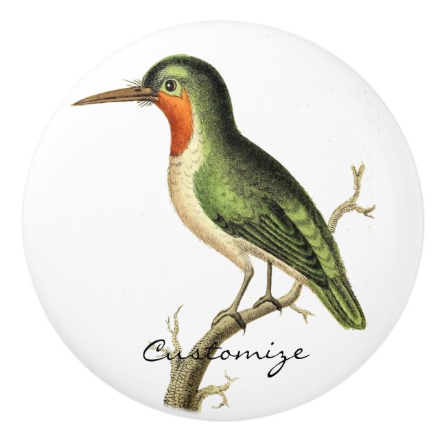 Hummingbird Perched Thunder_Cove Ceramic Knob (Front)