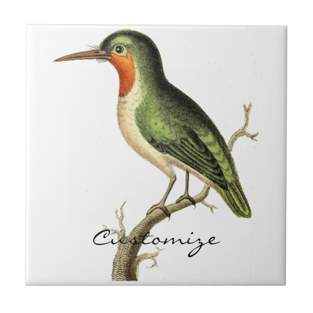 Hummingbird Perched Thunder_Cove Ceramic Tile (Front)