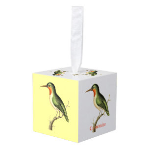 Hummingbird Perched Thunder_Cove Cube Ornament