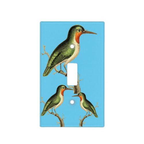 Hummingbird Perched Thunder_Cove Light Switch Cover