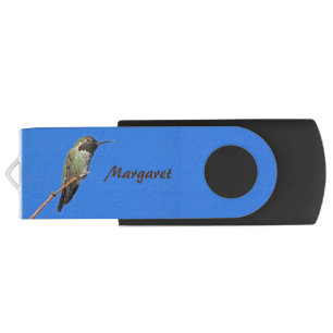 Hummingbird Photo Bright Blue Sky Small Bird Flash Drive