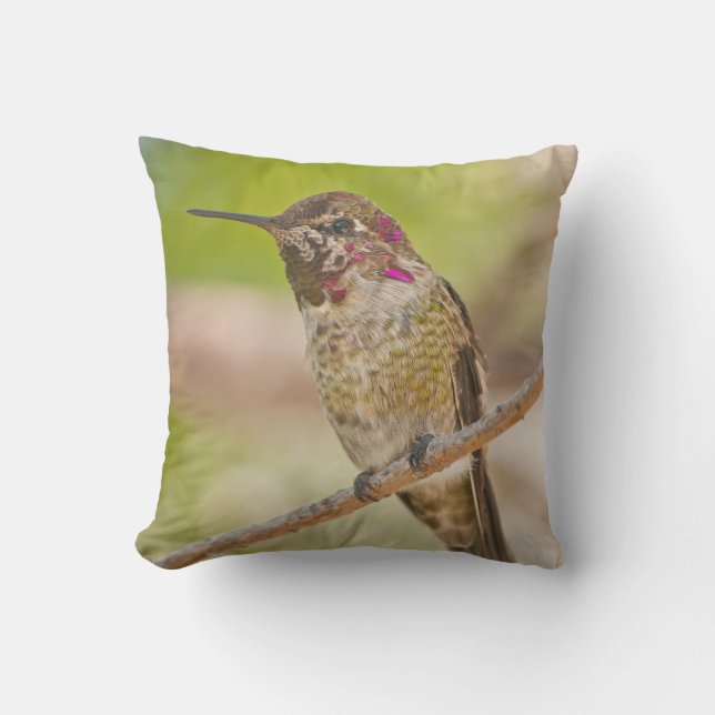 Hummingbird Photo Outdoor Throw Pillow (Front)