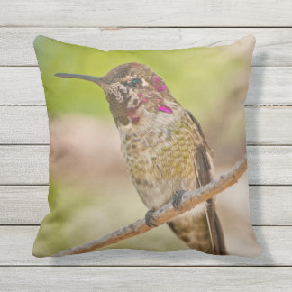 Hummingbird Photo Outdoor Throw Pillow