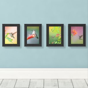 Hummingbird Photography Four-Print Wall Art Set