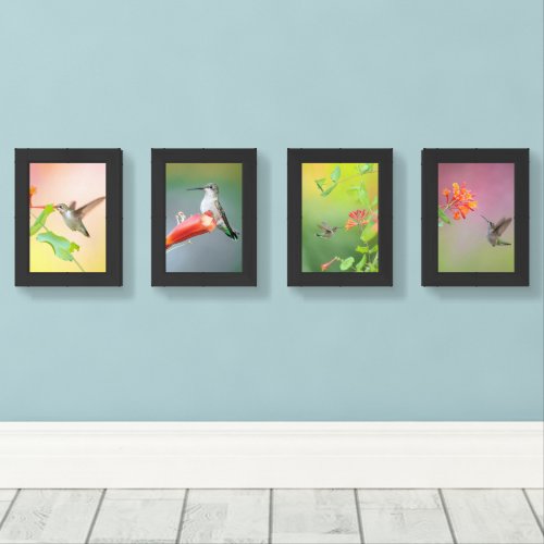 Hummingbird Photography Four-Print Wall Art Set
