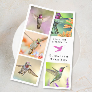 Hummingbird Photos From The Library Of Bookmarks