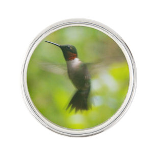 Hummingbird Pin