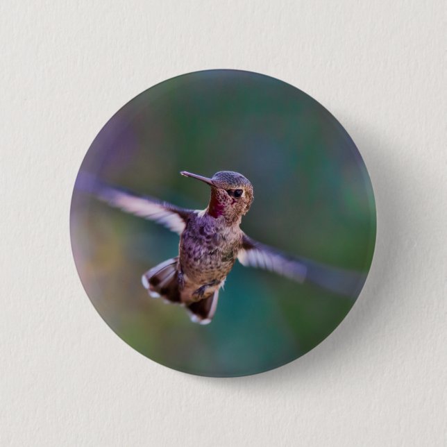 Hummingbird Pinback Button (Front)