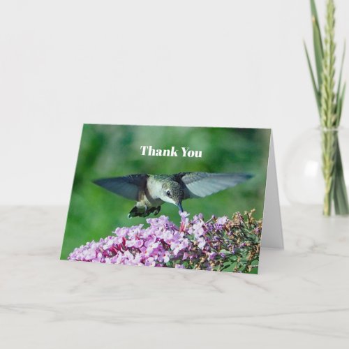 Hummingbird Pink Floral Flight Wildlife Photo Thank You Card