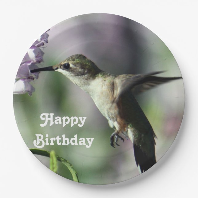 Hummingbird Pink Floral Wildlife Photo Birthday Paper Plates (Front)