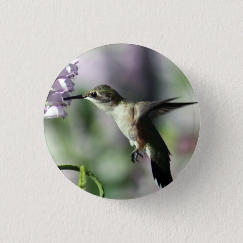 Hummingbird Pink Floral Wildlife Photo Button