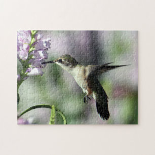 Hummingbird Pink Floral Wildlife Photo Jigsaw Puzzle