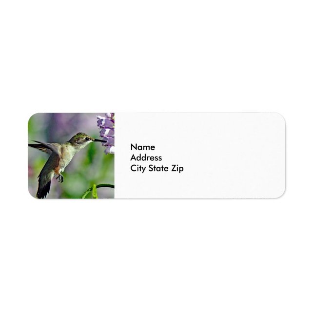 Hummingbird Pink Floral Wildlife Photo Label (Front)