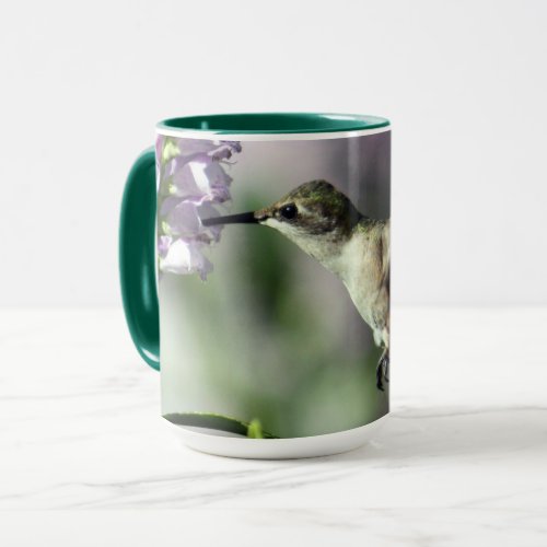 Hummingbird Pink Floral Wildlife Photo Mug