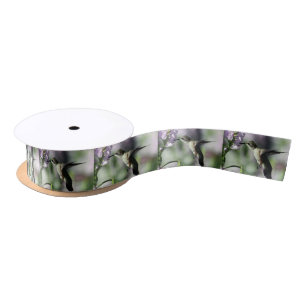 Hummingbird Pink Floral Wildlife Photo Satin Ribbon