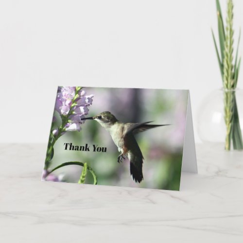 Hummingbird Pink Floral Wildlife Photo Thank You Card