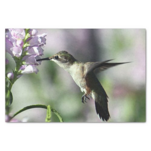 Hummingbird Pink Floral Wildlife Photo Tissue Paper