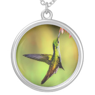 Hummingbird Pink Flower Bird Silver Plated Necklace