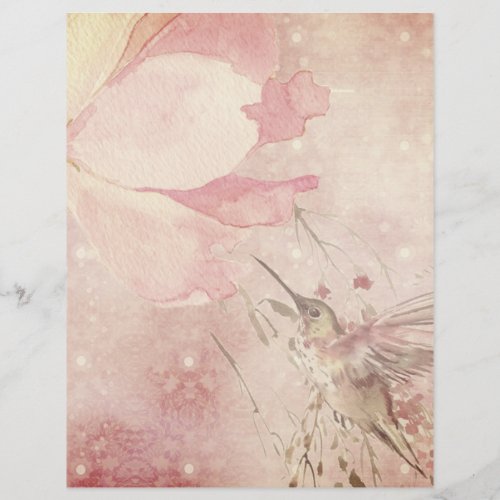 Hummingbird  Pink Flower Scrapbook Paper