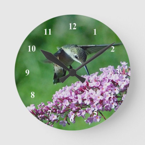 Hummingbird Pink Flowers Round Clock