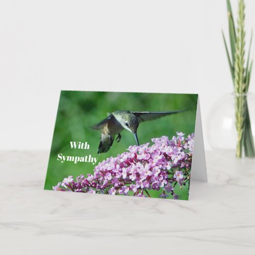 Hummingbird Pink Flowers Wildlife Photo Sympathy Card