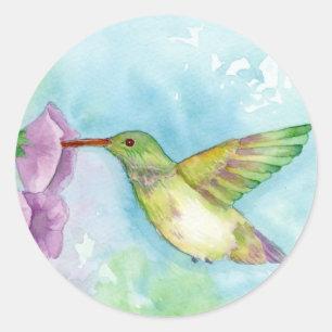 Hummingbird Pink Hollyhock Flowers Blue Classic Round Sticker
