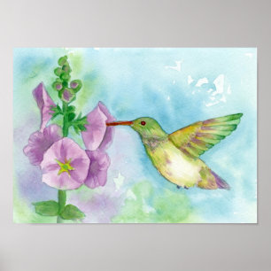 Hummingbird Pink Hollyhock Flowers Watercolor Poster