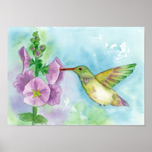 Hummingbird Pink Hollyhock Flowers Watercolor Poster