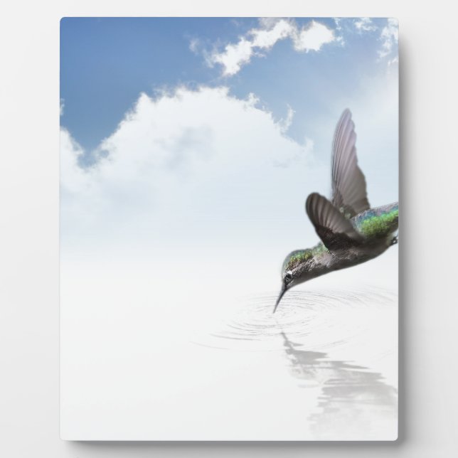 Hummingbird Plaque (Front)