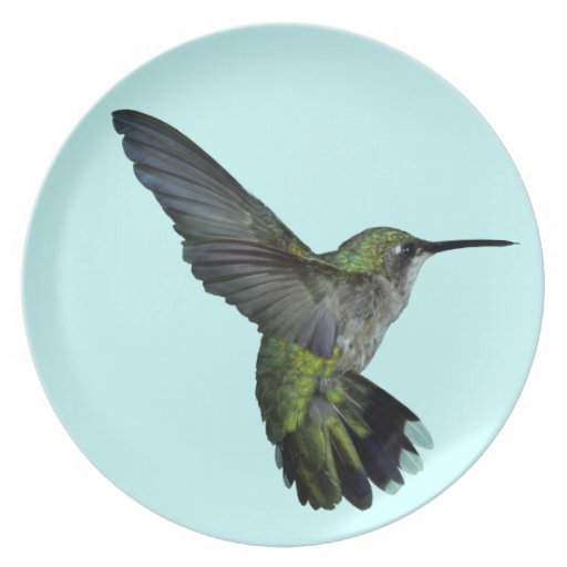 Hummingbird Plate | Zazzle