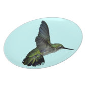 Hummingbird Plate | Zazzle