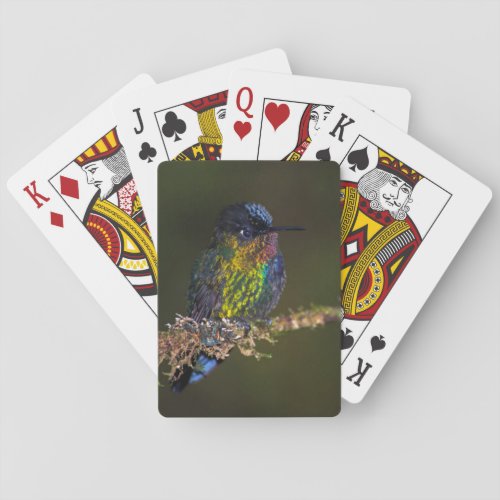 Hummingbird Playing Cards