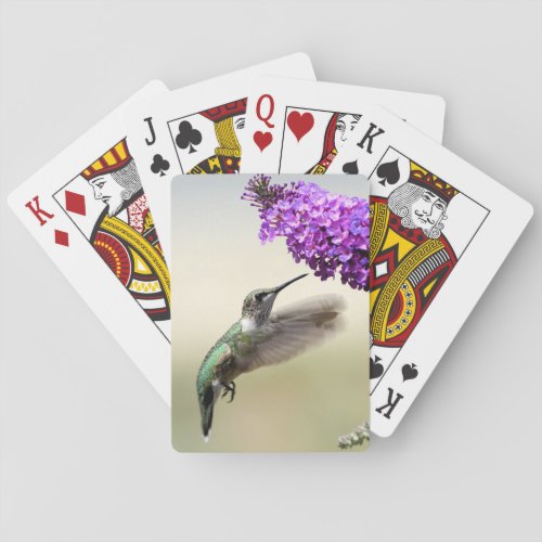 Hummingbird Playing Cards