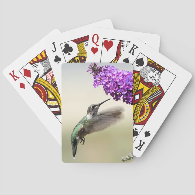 Hummingbird Playing Cards (Back)