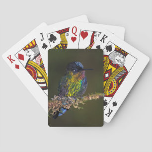 Hummingbird Poker Cards