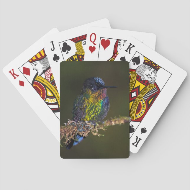 Hummingbird Poker Cards (Back)