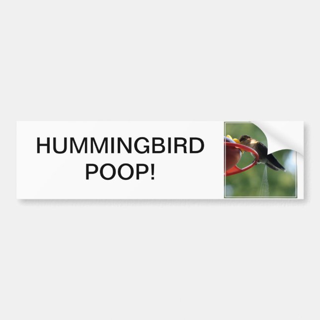 Hummingbird Poop! Bumper Sticker (Front)