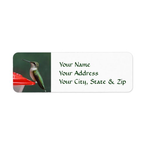 Hummingbird Portrait Custom Return Address Labels