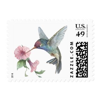 Hummingbird Postage Stamp