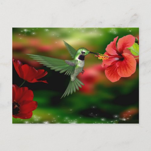 Hummingbird postcard