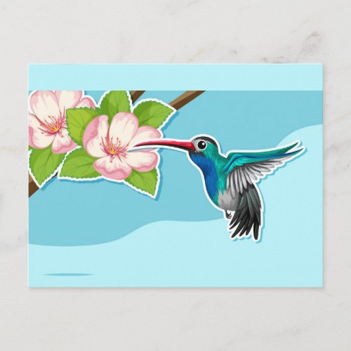 Hummingbird Postcard