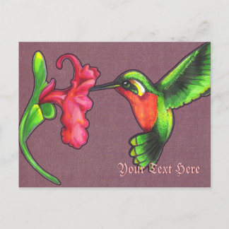 Hummingbird Postcard